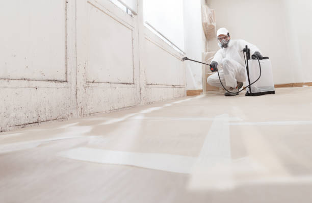 24/7 Emergency Black Mold Remediation experts in Clifton, TN