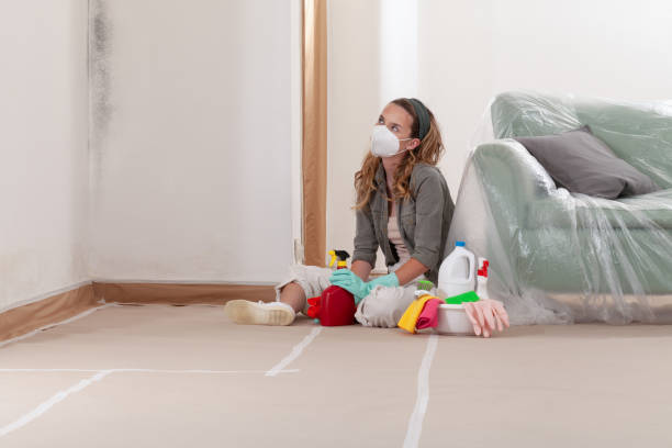 Reliable Black Mold Remediation contractor in Clifton, TN by 24 Hour Mold Removal